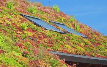 Castle End living roof systems